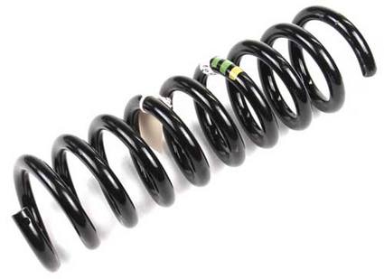 Mercedes Coil Spring - Rear 2103243304